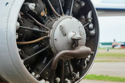 Illustration riser - Image 1