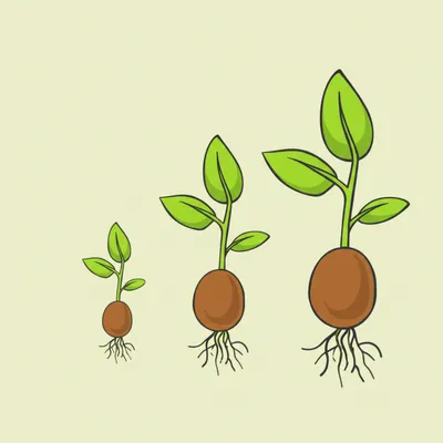 Illustration breed - Image 1