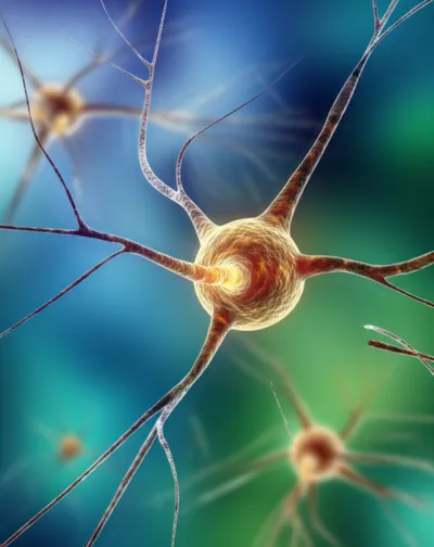 Illustration dendritic - Image 1