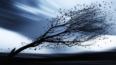 Illustration gusty - Image 1