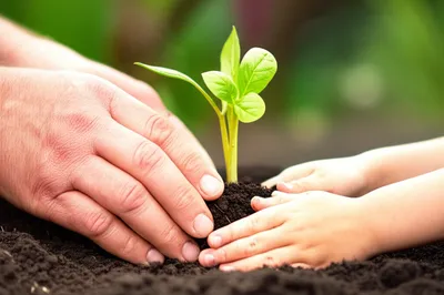 Illustration handling