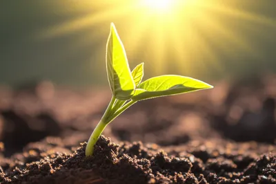 Illustration consummate - Image 1