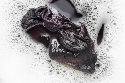 Illustration whiting - Image 1