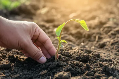 Illustration giving - Image 1