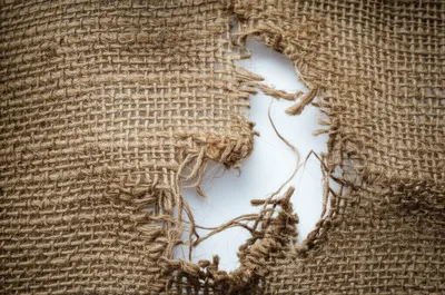 Illustration ragged - Image 1