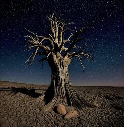 Illustration ages - Image 1