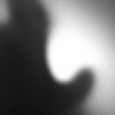 Illustration sight - Image 1