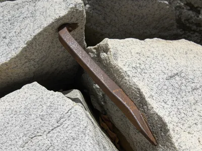 Illustration crow - Image 1