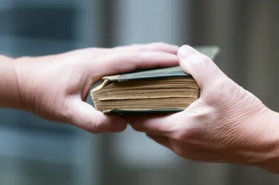 Illustration steal - Image 1