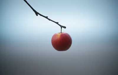 Illustration suspended - Image 1