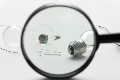 Illustration dissect - Image 1