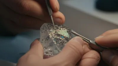 Illustration subtilise - Image 1