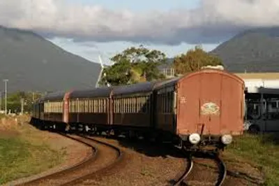 Illustration tail - Image 4