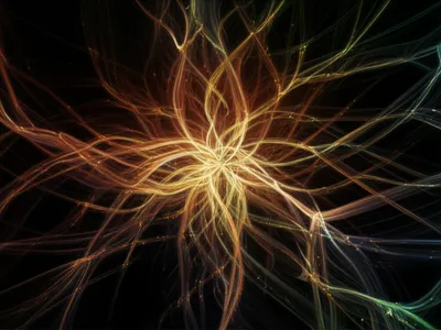 Illustration rhizomes - Image 1