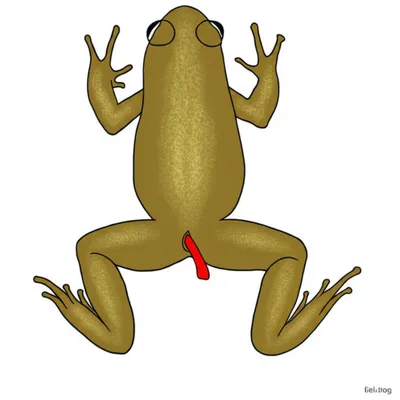 Illustration vent - Image 1