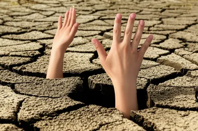 Illustration interred - Image 1