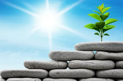 Illustration prerequisite - Image 1