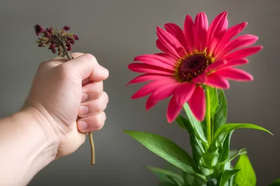 Illustration misuse - Image 1