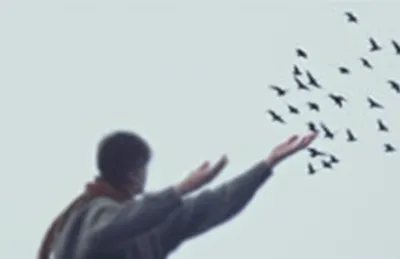 Illustration loses - Image 1