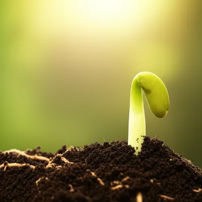 Illustration beginning - Image 1