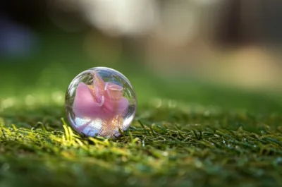 Illustration princesses - Image 1