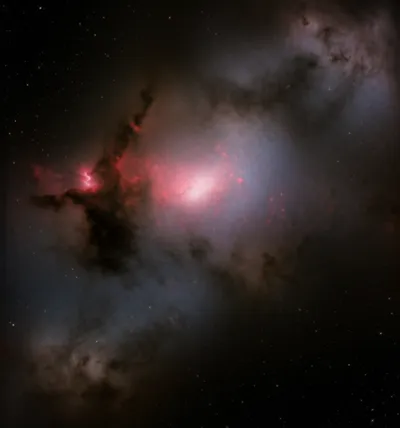 Illustration extinction - Image 1