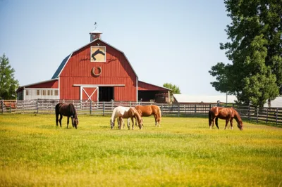 Illustration studs - Image 1