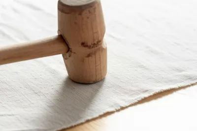 Illustration beetling - Image 1