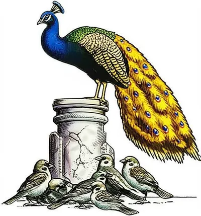 Illustration haughtiness