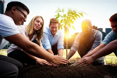 Illustration founding - Image 1