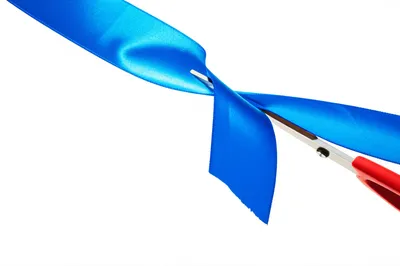 Illustration curt - Image 1