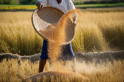 Illustration fans - Image 1