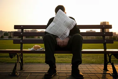 Illustration kip - Image 1