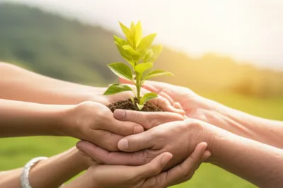 Illustration invested - Image 1