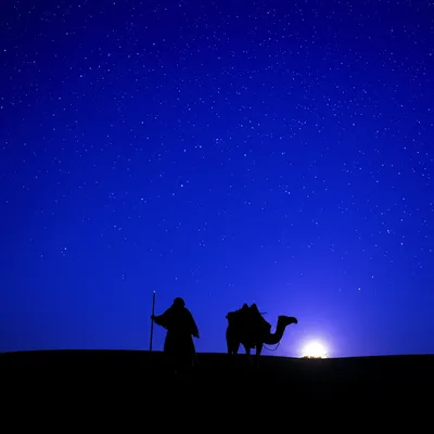 Illustration rover - Image 1