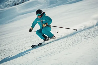 Illustration carver - Image 1