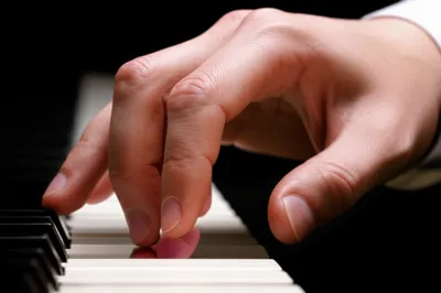 Illustration finger - Image 1