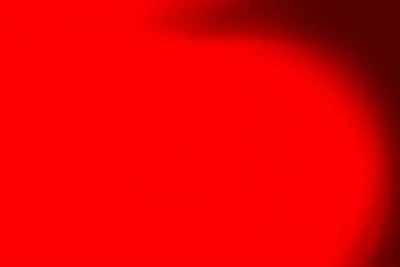 Illustration cranberry - Image 1