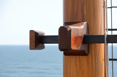 Illustration fid - Image 1