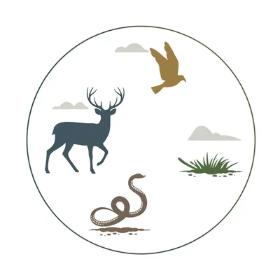 Illustration animal - Image 1