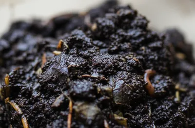 Illustration muck - Image 1