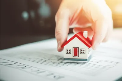 Illustration devise - Image 1