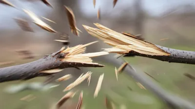 Illustration snapping