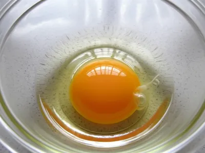 Illustration chalazae - Image 1