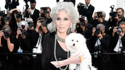 Illustration lions - Image 1