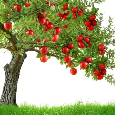 Illustration heavily