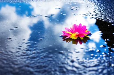 Illustration shallow - Image 1