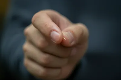 Illustration spelt - Image 1