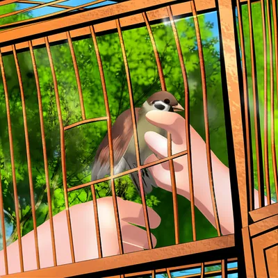 Illustration rescuing - Image 1