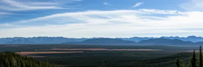 Illustration breadth - Image 1